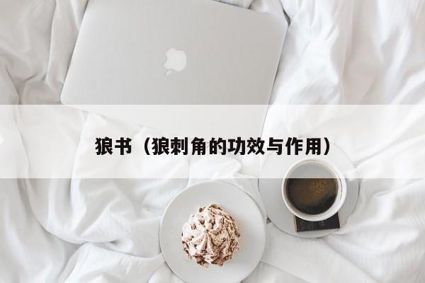 狼书(狼刺角的功效与作用)
