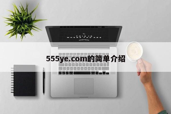 555ye.com的简单介绍