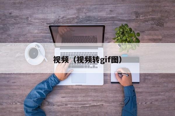 视频(视频转gif图)