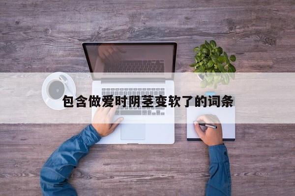 包含做爱时阴茎变软了的词条