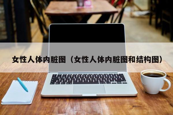 女性人体内脏图(女性人体内脏图和结构图)