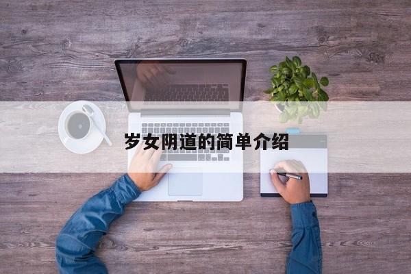 岁女阴道的简单介绍