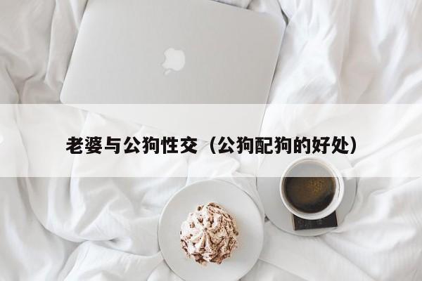 老婆与公狗性交(公狗配狗的好处)