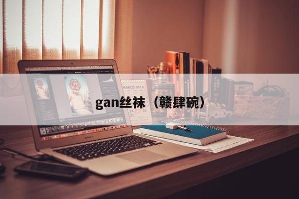 gan丝袜(赣肆碗)