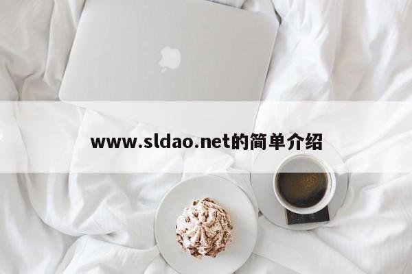 www.sldao.net的简单介绍