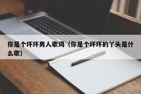 你是个坏坏男人歌词(你是个坏坏的丫头是什么歌)