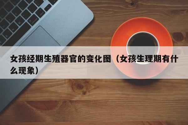 女孩经期生殖器官的变化图(女孩生理期有什么现象)