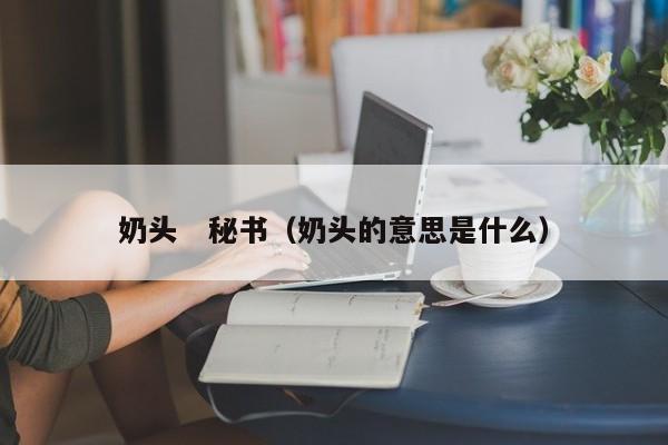 奶头 秘书(奶头的意思是什么)