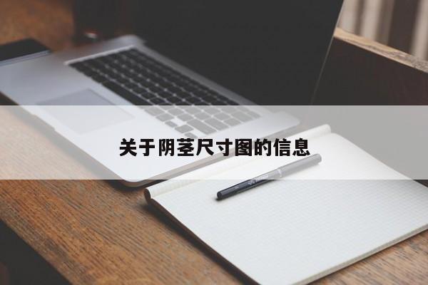关于阴茎尺寸图的信息