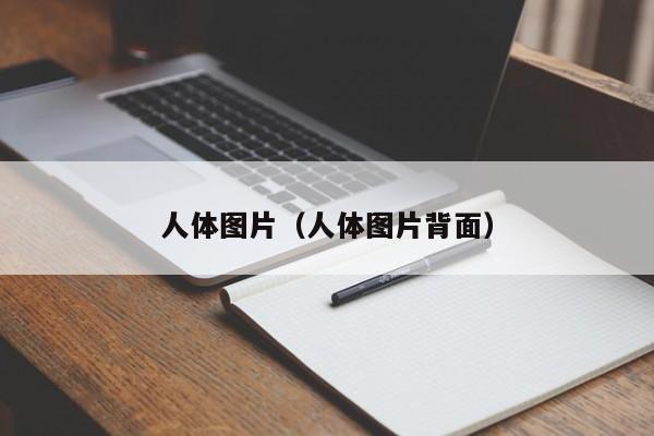 人体图片(人体图片背面)