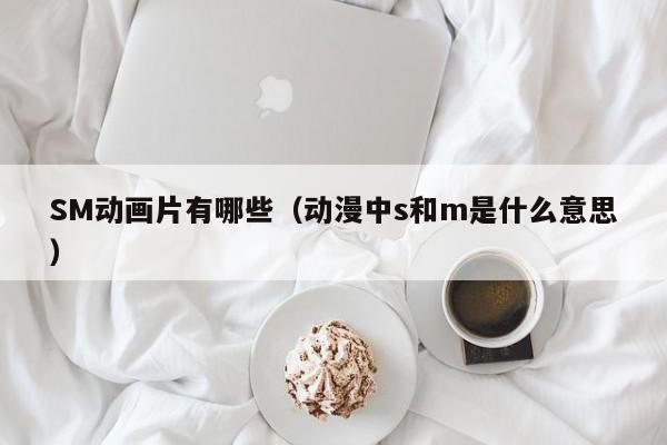 SM动画片有哪些(动漫中s和m是什么意思)