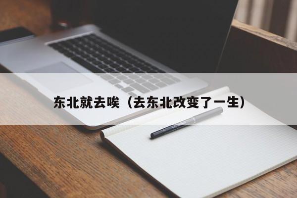 东北就去唉(去东北改变了一生)