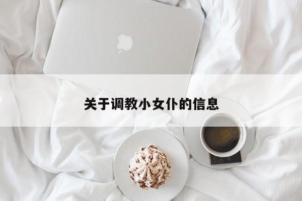 关于调教小女仆的信息