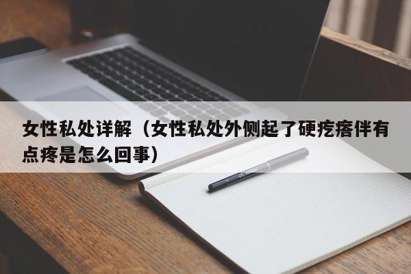 女性私处详解(女性私处外侧起了硬疙瘩伴有点疼是怎么回事)
