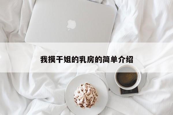 我摸干姐的乳房的简单介绍