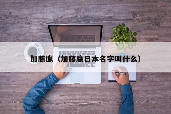 加藤鹰(加藤鹰日本名字叫什么)