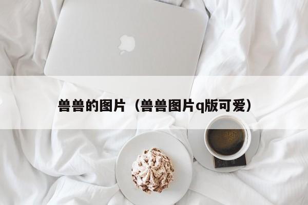 兽兽的图片(兽兽图片q版可爱)