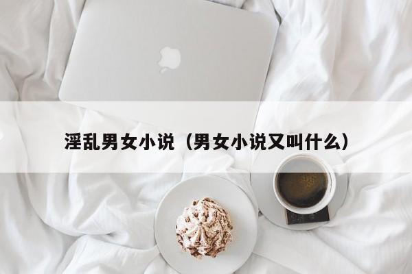 淫乱男女小说(男女小说又叫什么)