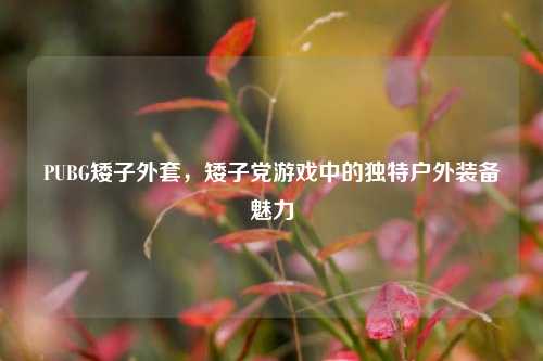PUBG矮子外套，矮子党游戏中的独特户外装备魅力