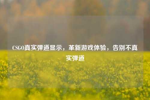 CSGO真实弹道显示，革新游戏体验，告别不真实弹道