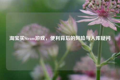 淘宝买Steam游戏，便利背后的风险与入库疑问