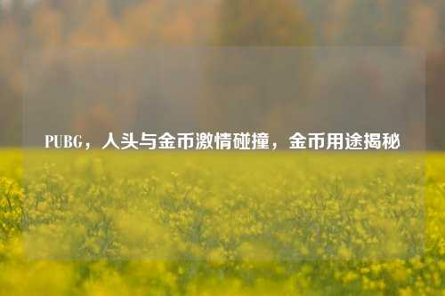 PUBG，人头与金币激情碰撞，金币用途揭秘