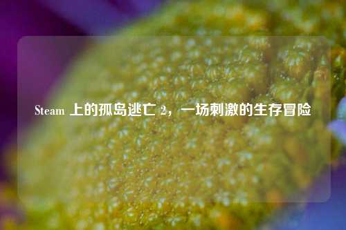 Steam 上的孤岛逃亡 2，一场刺激的生存冒险