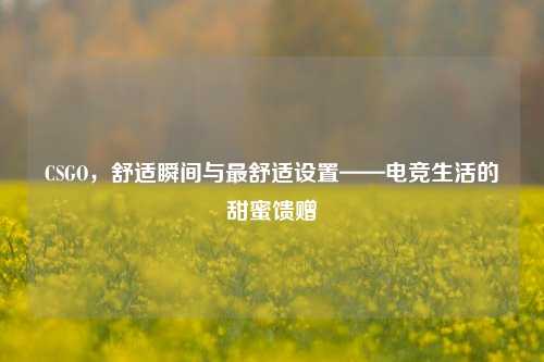CSGO，舒适瞬间与最舒适设置——电竞生活的甜蜜馈赠