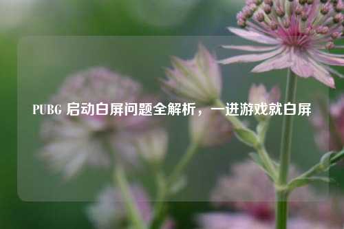 PUBG 启动白屏问题全解析，一进游戏就白屏