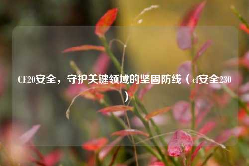 CF20安全，守护关键领域的坚固防线（cf安全230）