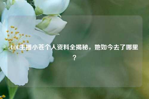 LOL主播小苍个人资料全揭秘，她如今去了哪里？