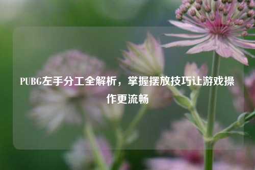 PUBG左手分工全解析，掌握摆放技巧让游戏操作更流畅