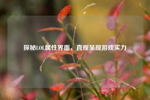 探秘LOL属性界面，直观呈现游戏实力