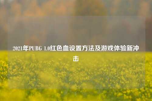 2021年PUBG 1.0红色血设置方法及游戏体验新冲击