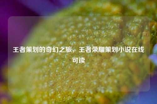 王者策划的奇幻之旅，王者荣耀策划小说在线可读