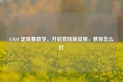 CSGO 定级赛教学，开启竞技新征程，教你怎么打