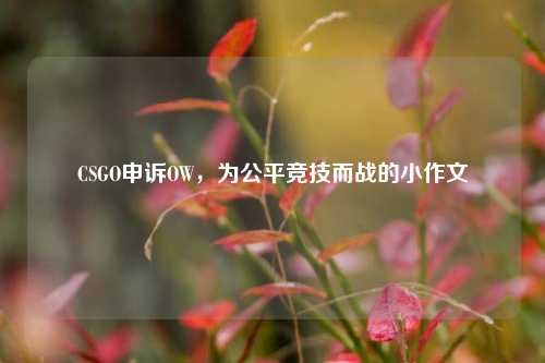 CSGO申诉OW，为公平竞技而战的小作文