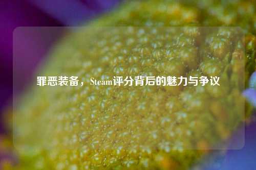 罪恶装备，Steam评分背后的魅力与争议