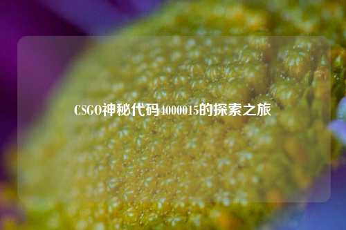 CSGO神秘代码4000015的探索之旅