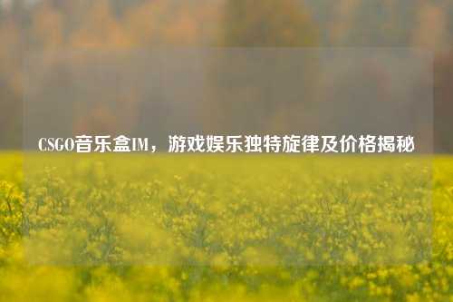 CSGO音乐盒IM，游戏娱乐独特旋律及价格揭秘