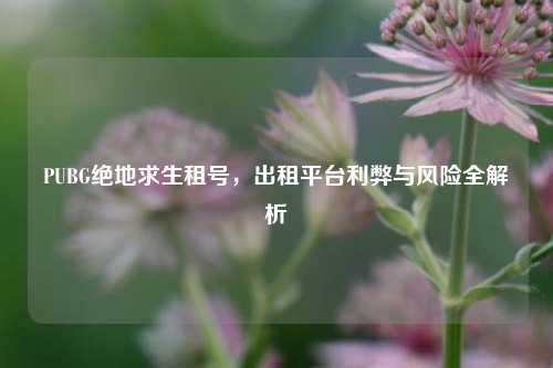 PUBG绝地求生租号，出租平台利弊与风险全解析