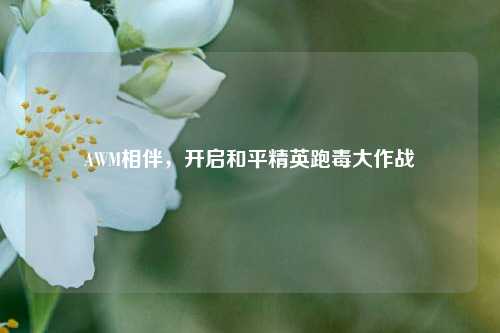 AWM相伴，开启和平精英跑毒大作战